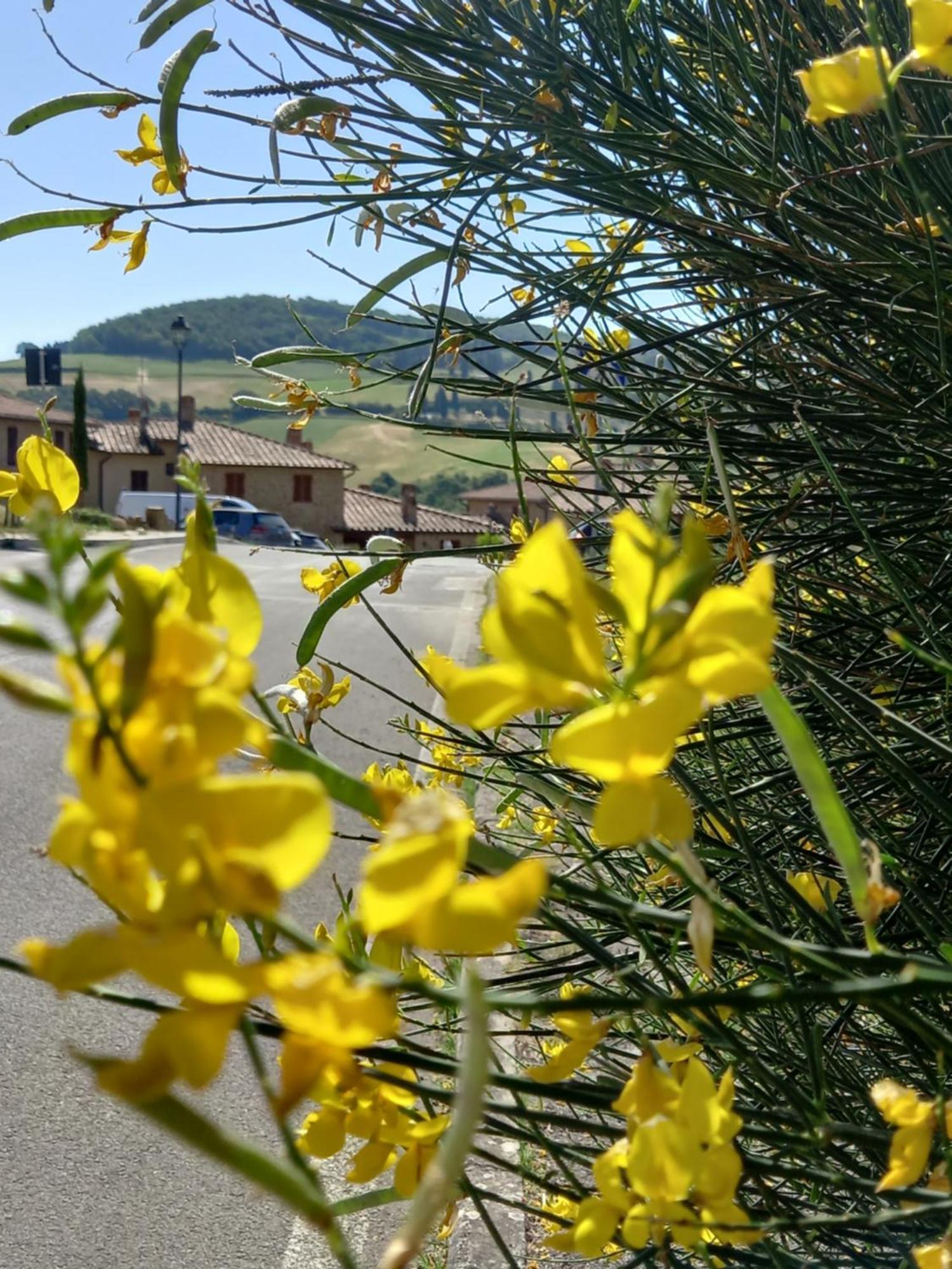 Appartamento Con Vista Panoramica Пиенца Экстерьер фото
